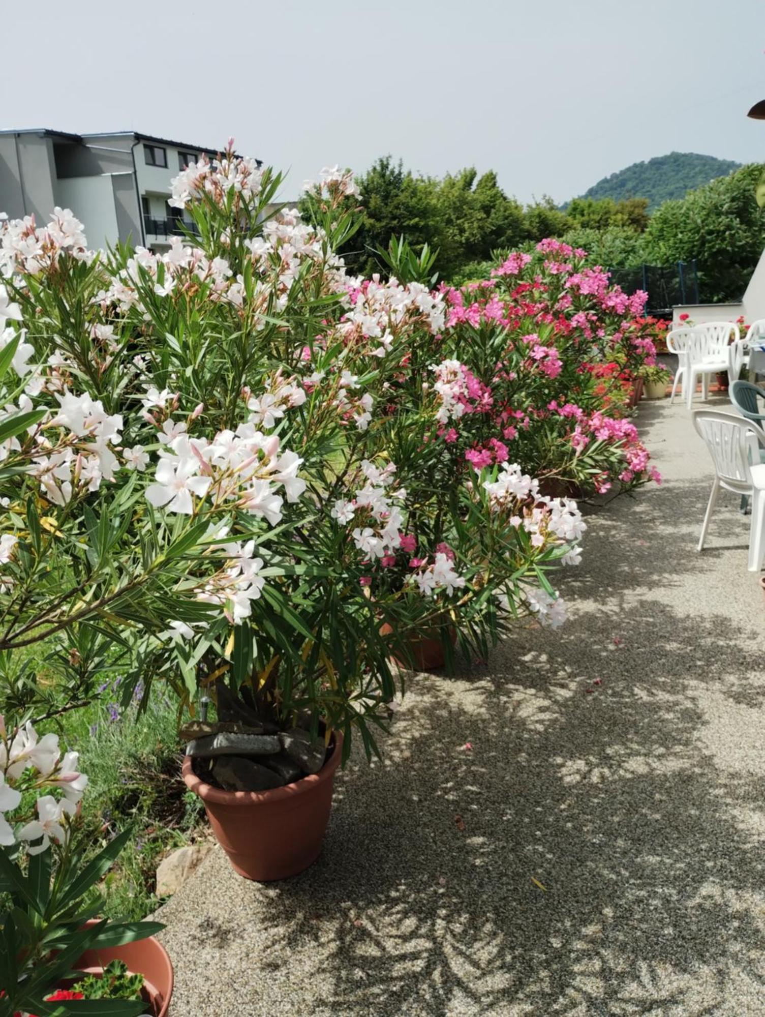 Apartmany Fantagiro Kaluža 외부 사진